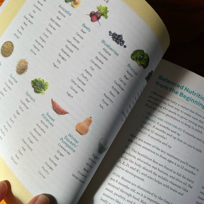 The Big Book of Organic Baby Food