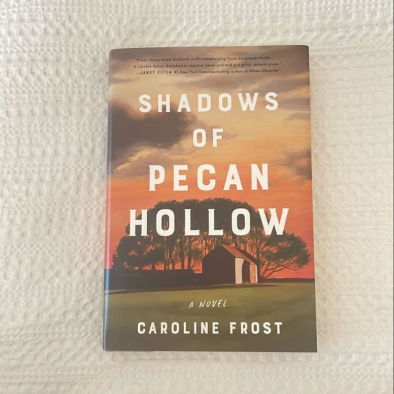 Shadows of Pecan Hollow