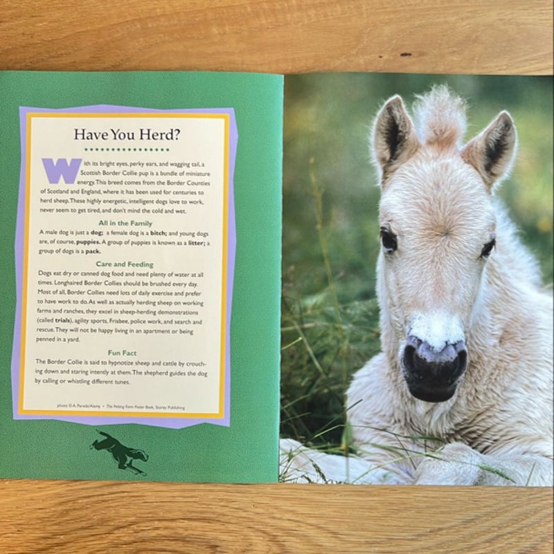 The Petting Farm Poster Book