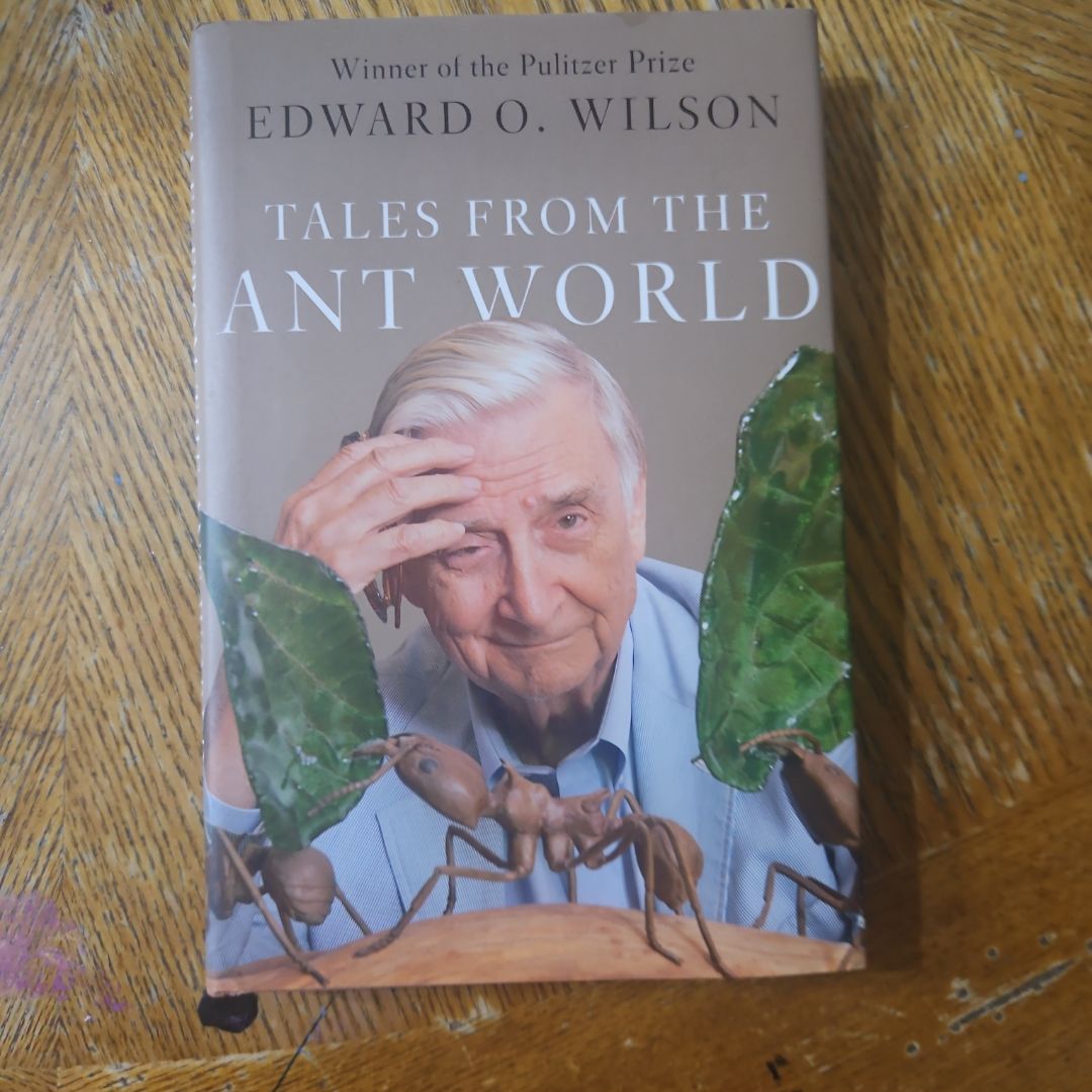 Tales from the Ant World