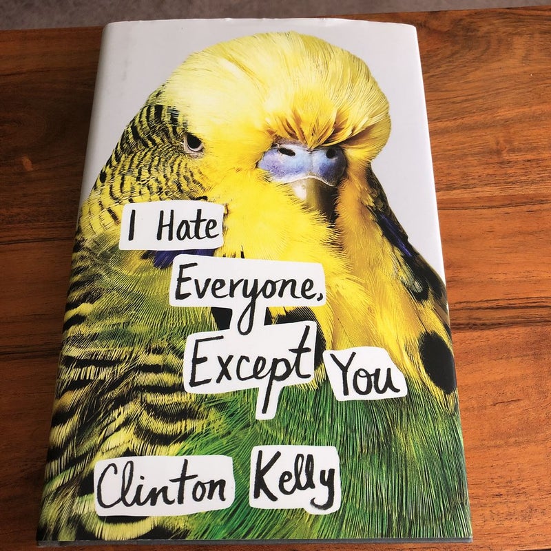 I Hate Everyone, Except You