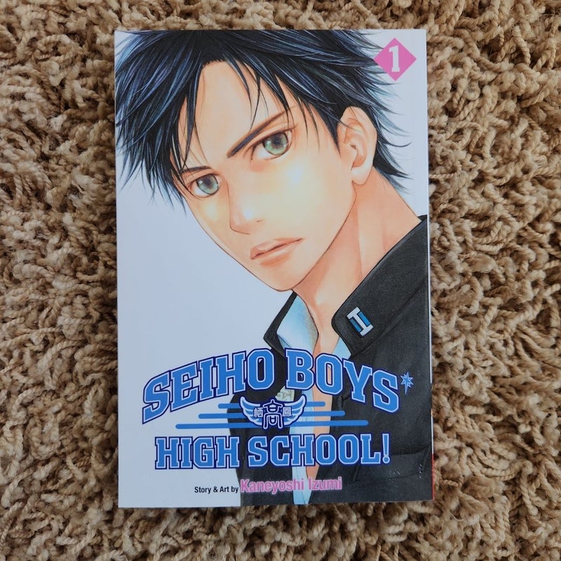 Seiho Boys' High School!, Vol. 1