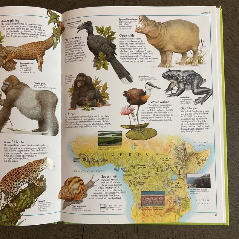 The animal Atlas 
