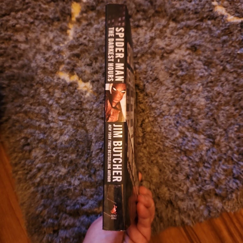 Spider-Man: the Darkest Hours
