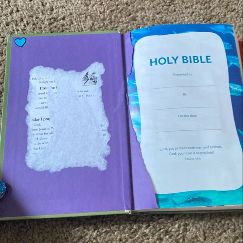 King of Everything Holy Bible