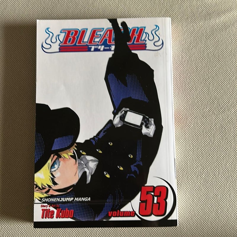 Bleach, Vol. 53