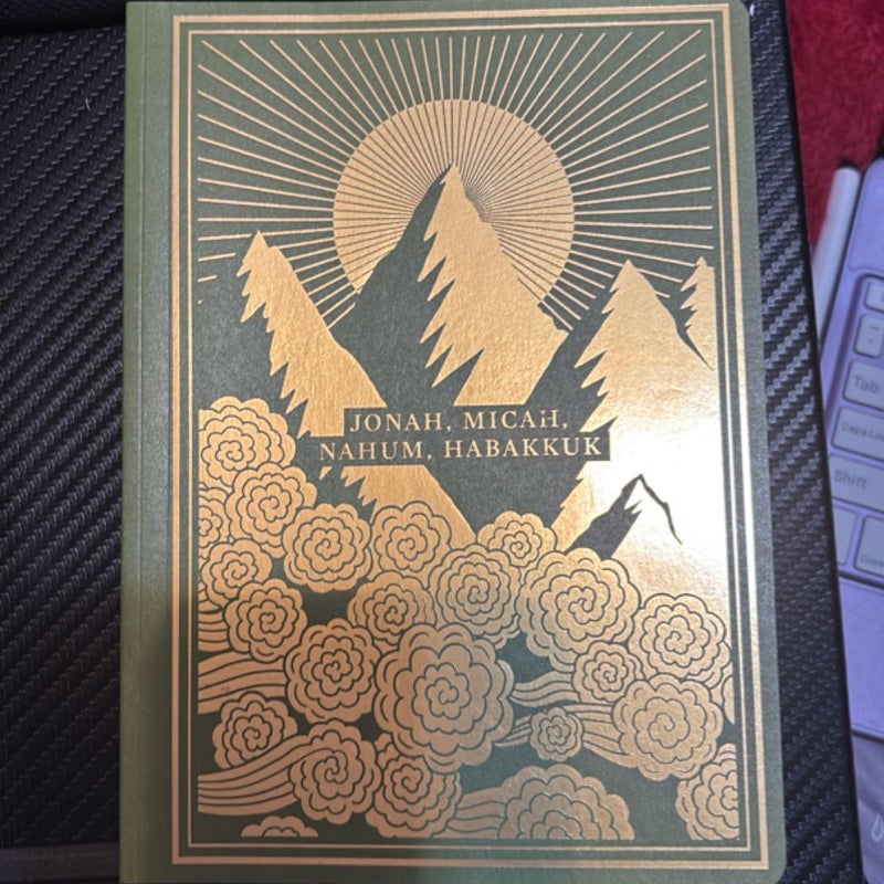 Esv Illuminated scripture journal