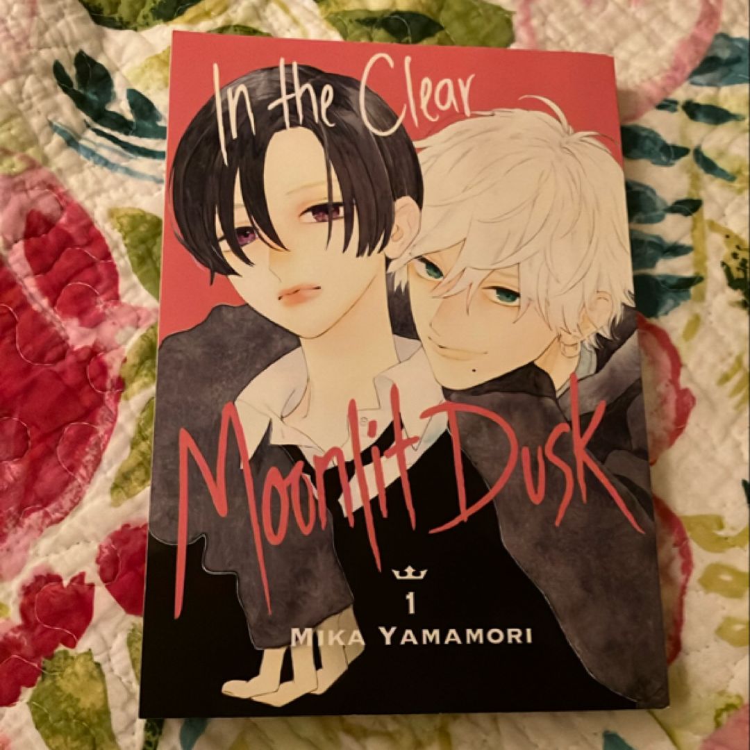 In the Clear Moonlit Dusk 1