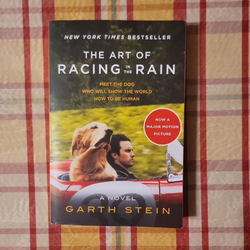 The Art of Racing in the Rain Tie-In