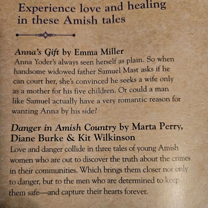 Anna's Gift and Danger in Amish Country