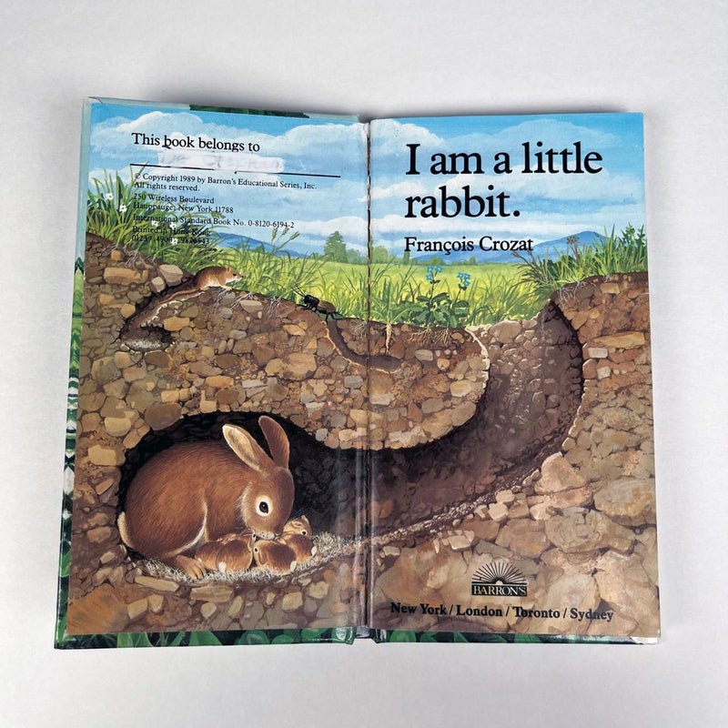 I Am a Little Rabbit