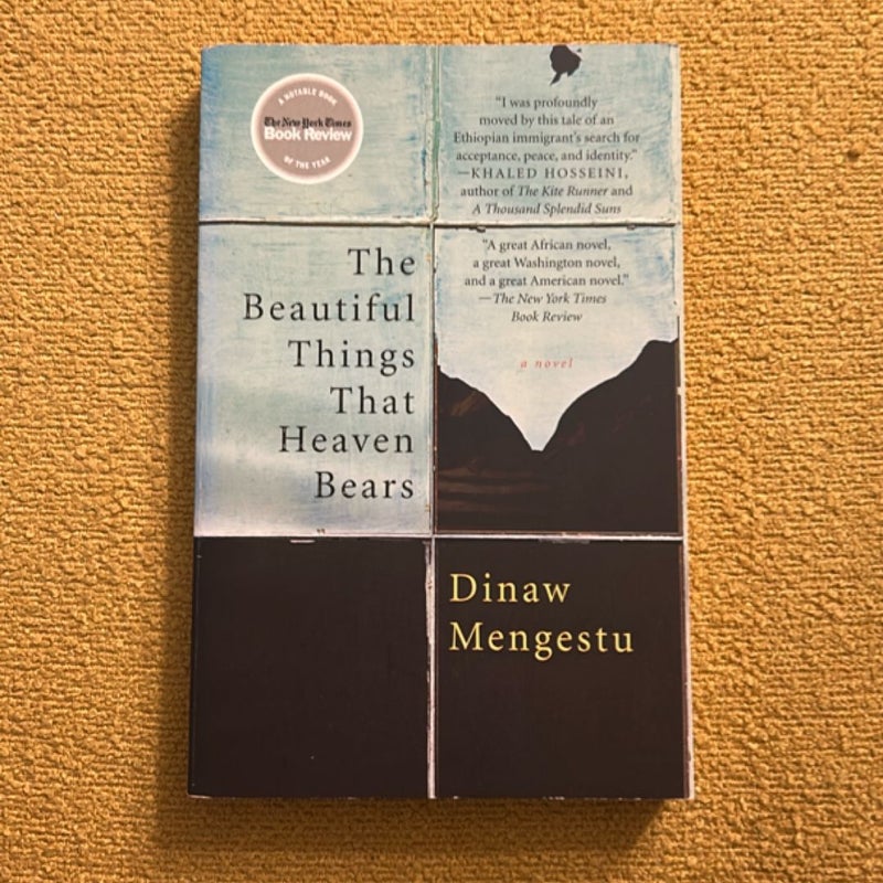 The Beautiful Things That Heaven Bears