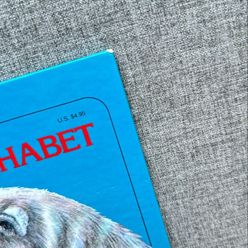 Animal Alphabet From A to Z