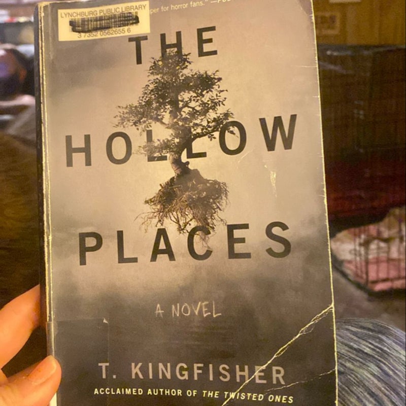 The Hollow Places