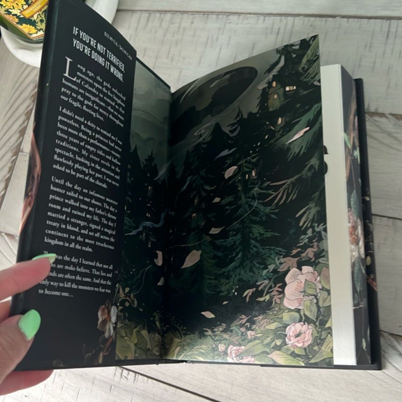 SIGNED Shield of Sparrows by Devney Perry (Deluxe Limited Edition)