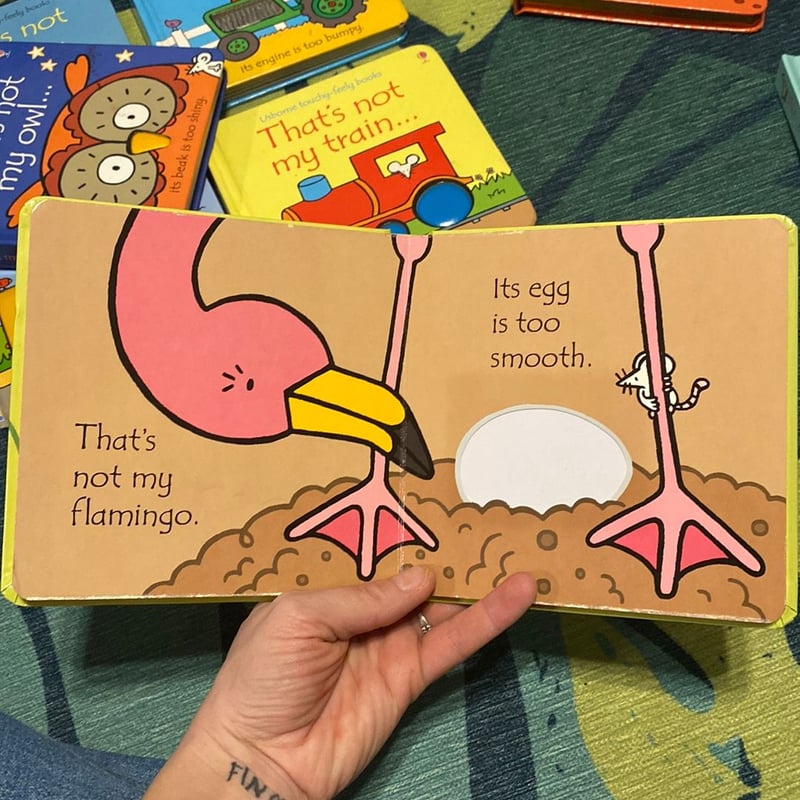 That's Not My... Flamingo, Sloth, Tiger and Kangaroo Box Set