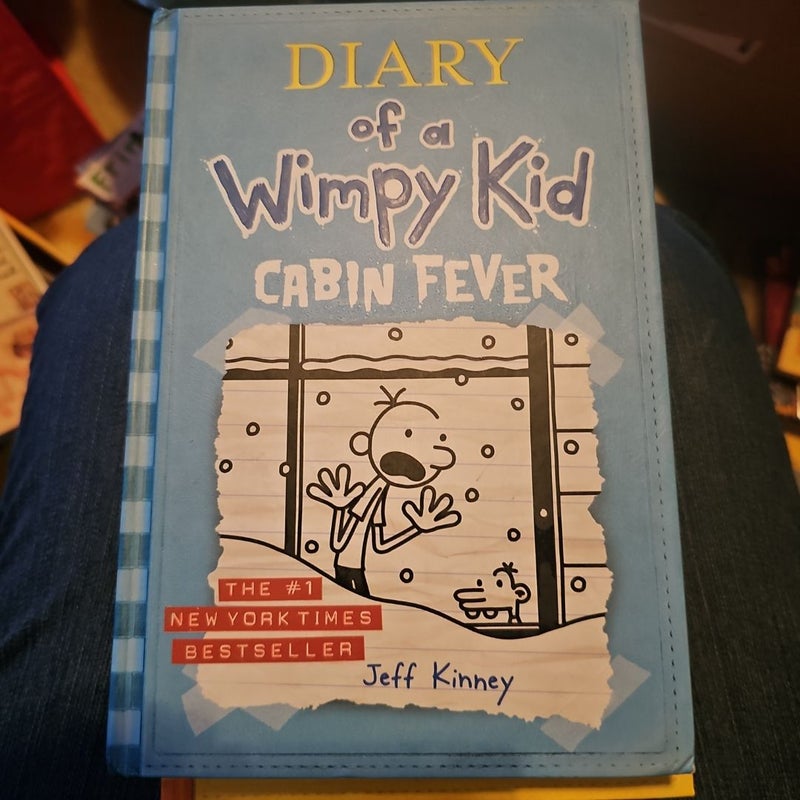 Diary of a Wimpy Kid # 6