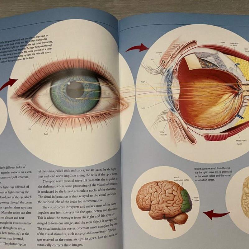 The Human Body Atlas