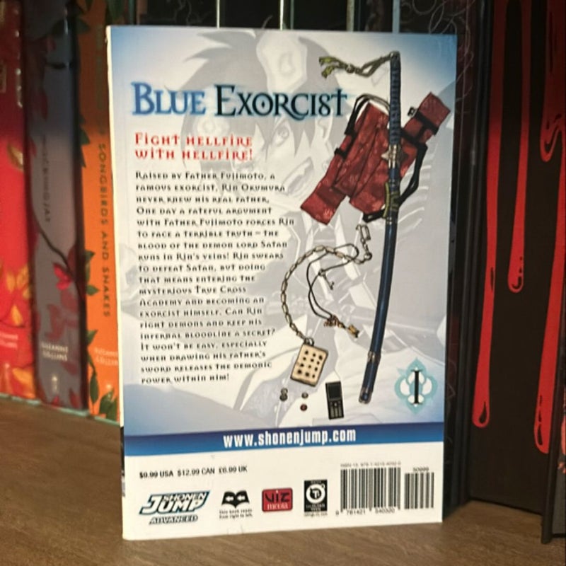 Blue Exorcist, Vol. 1