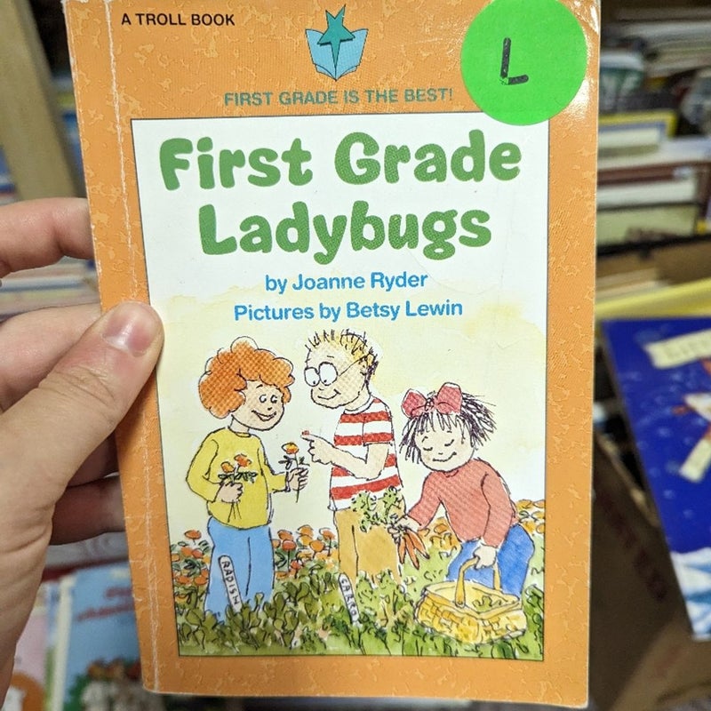 First Grade Ladybugs