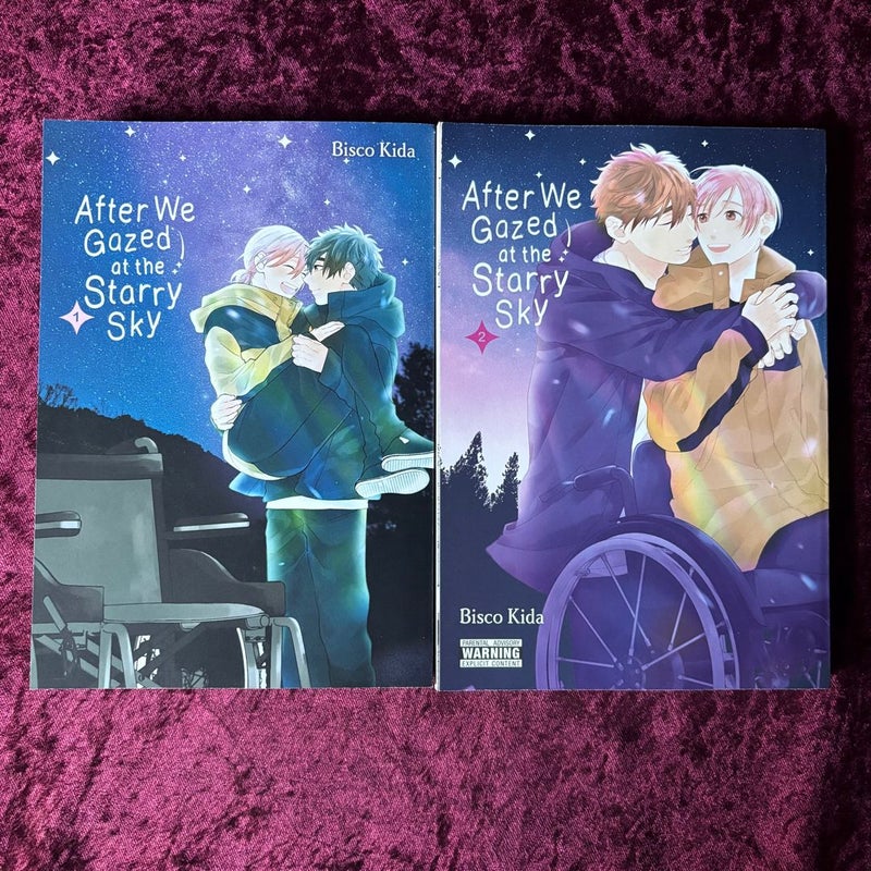 After We Gazed at the Starry Sky vol 1-2