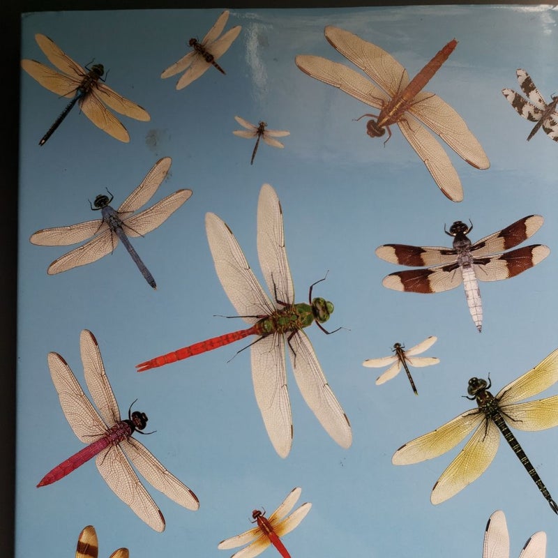 A Dazzle of Dragonflies