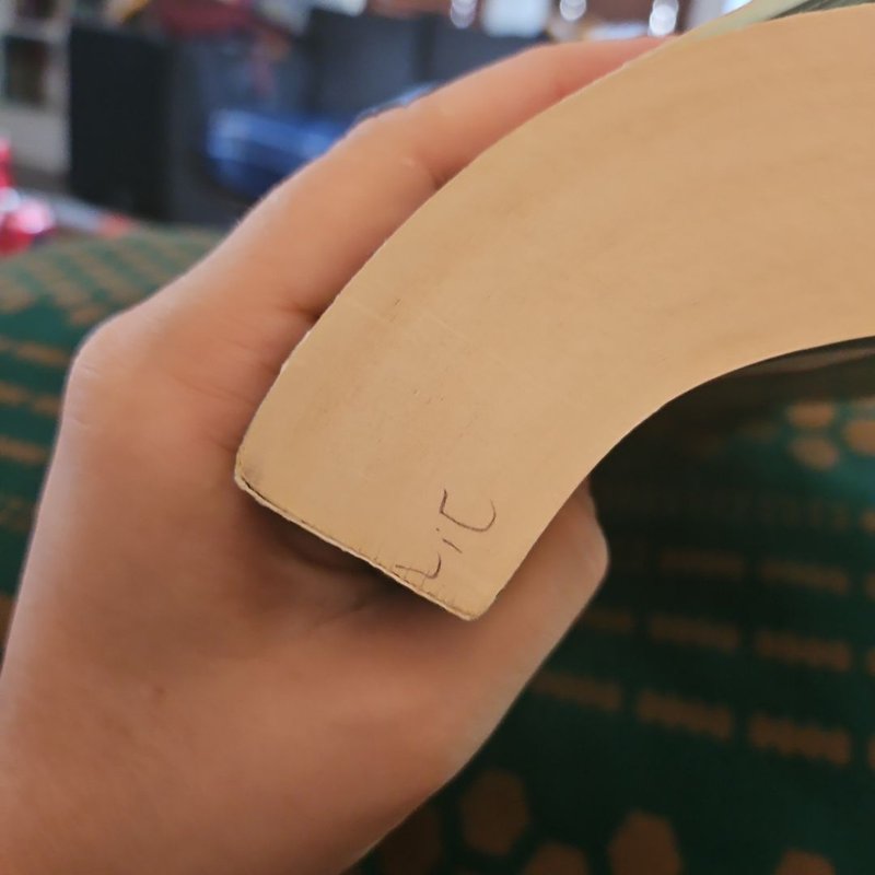 The Vampire Diaries: the Fury and Dark Reunion