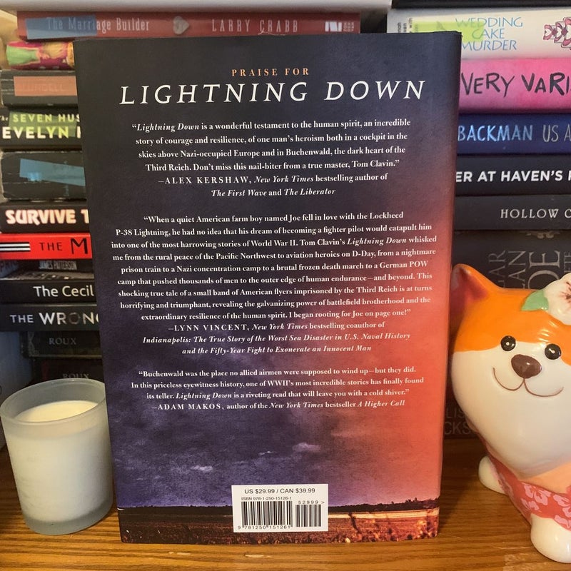 (First edition) Lightning Down