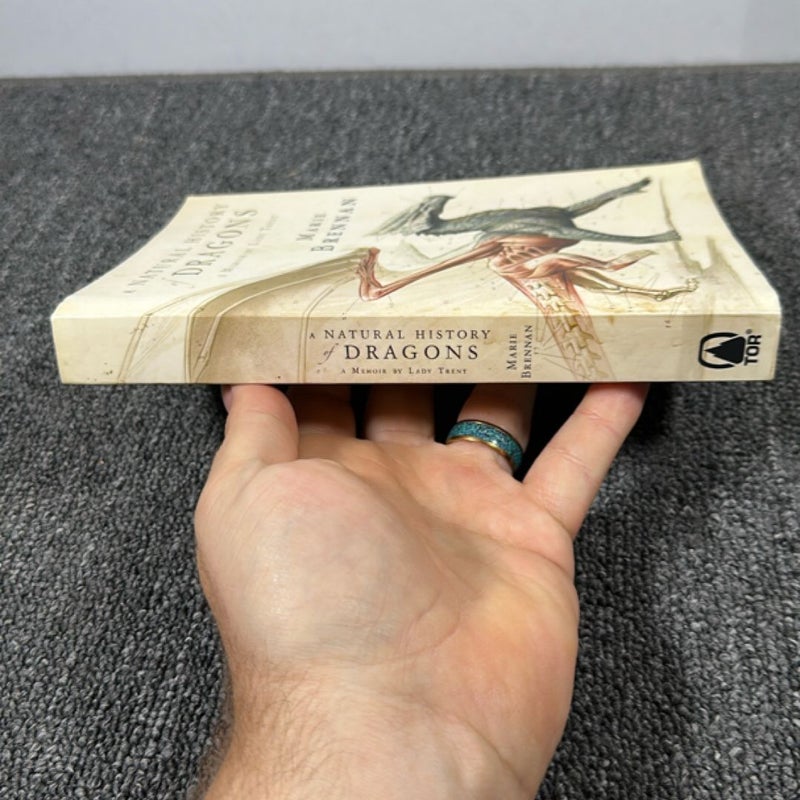 A Natural History of Dragons