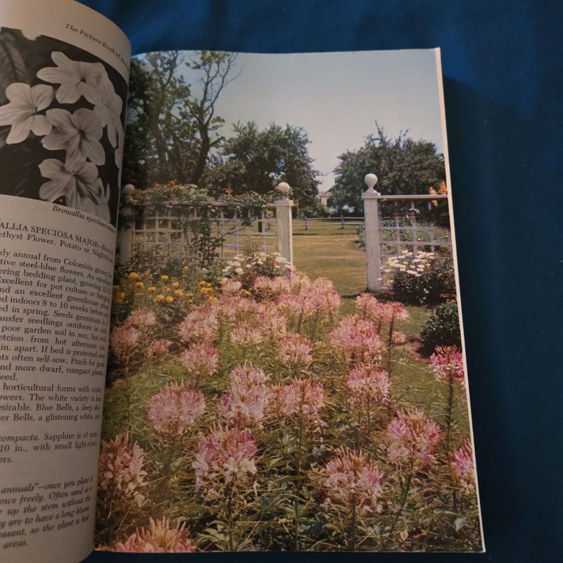 The picture of annuals 