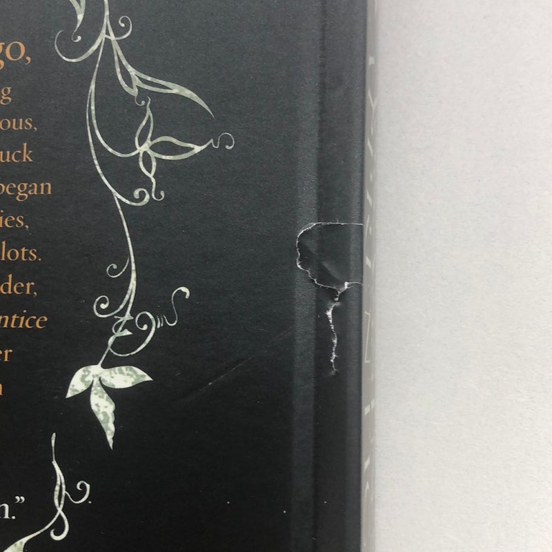 Assassin's Apprentice (the Illustrated Edition)