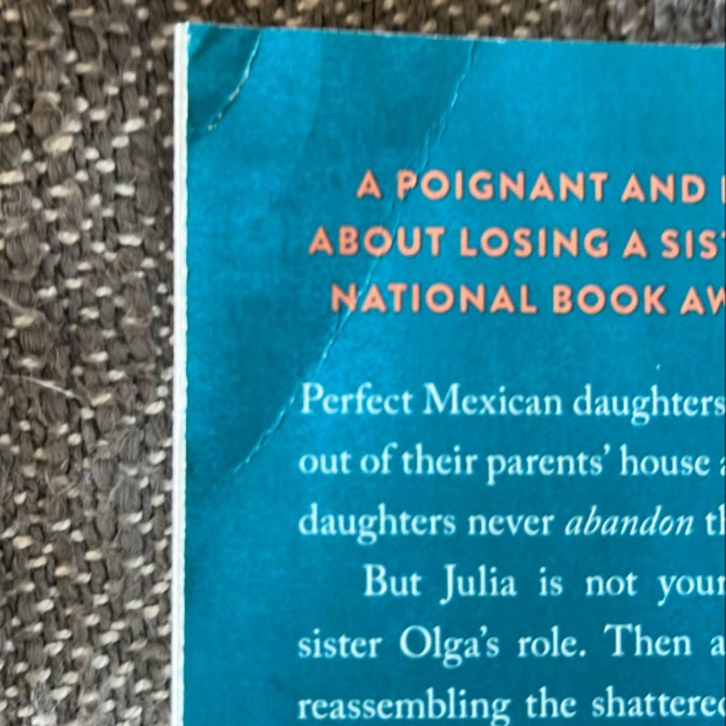 I Am Not Your Perfect Mexican Daughter