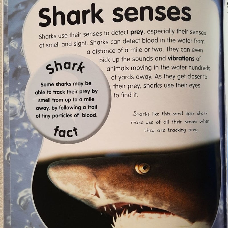 Animal Lives: Sharks by QEB/Teacher Created Resources (New, 2006, PBk, 32 pgs)