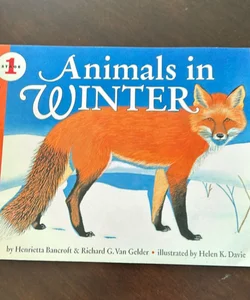 Animals in Winter