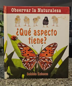 ¿Qué Aspecto Tiene?^