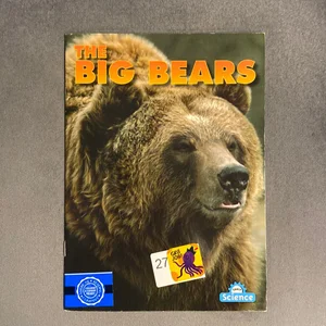 The Big Bears