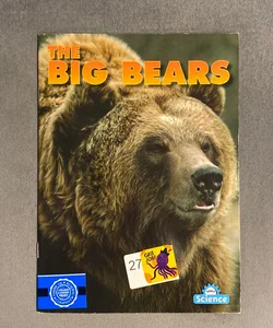 The Big Bears