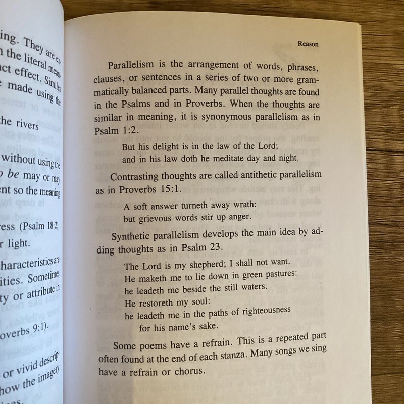 Rod and Staff Writer Helps set of 3: Poetry Pointers +learning Essay Writing + Short Story Writing Suggestions for Beginners