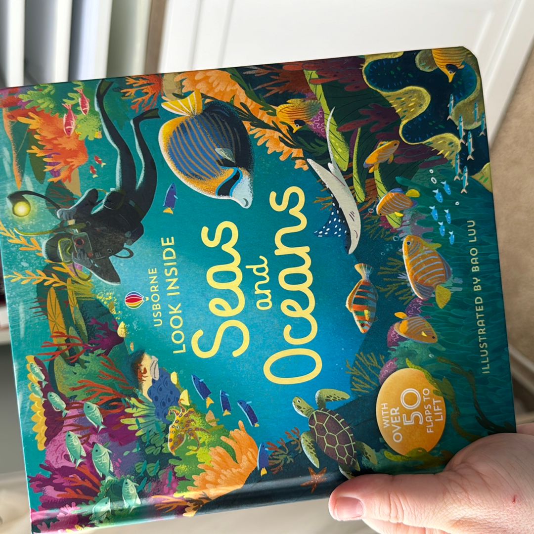 Look Inside Seas and Oceans