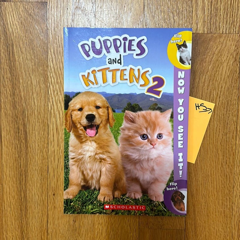 Now You See It! Puppies and Kittens 2
