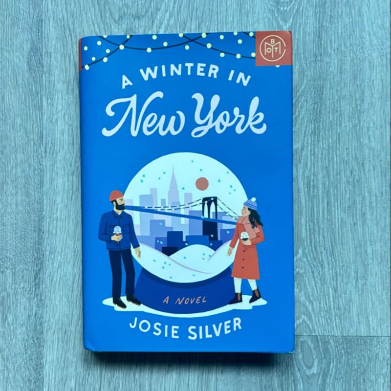 A Winter in New York