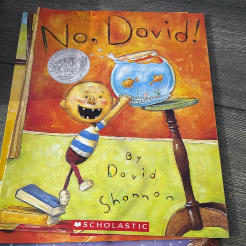 David 5 book set