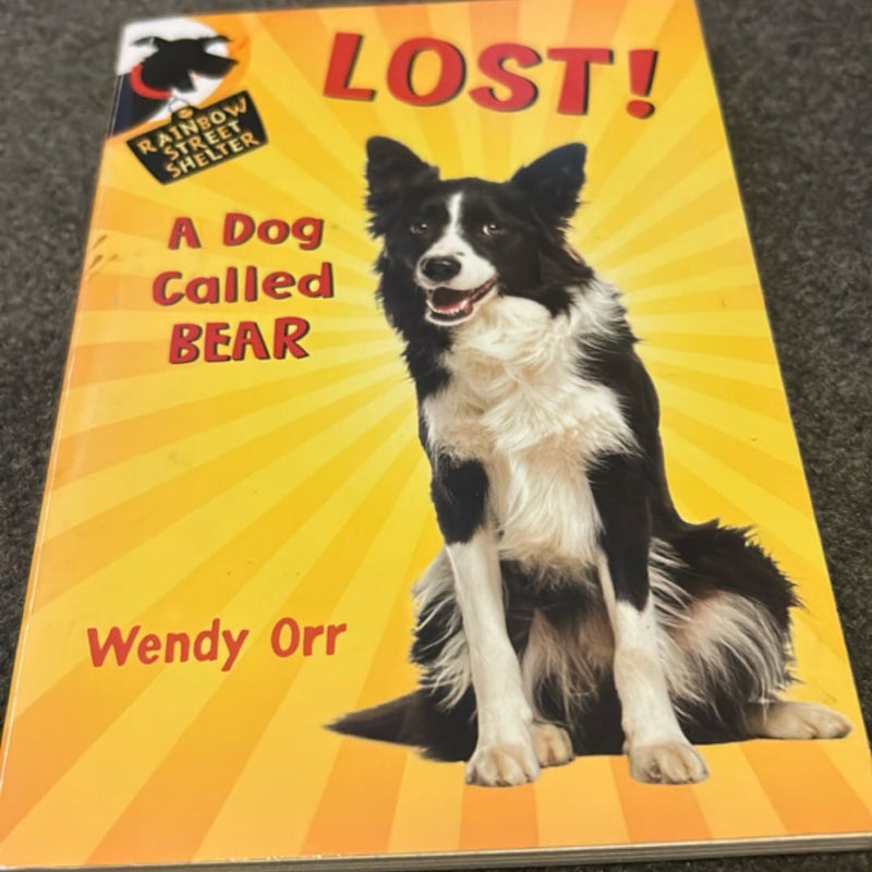 Lost a dog called bear
