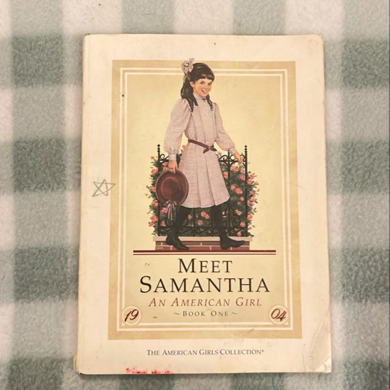 Meet Samantha