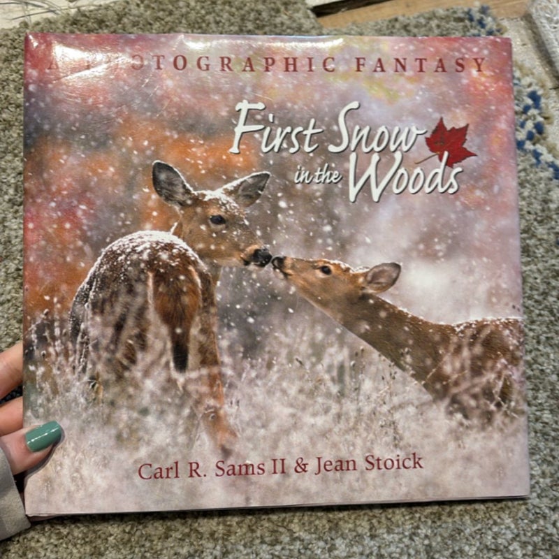 First Snow in the Woods