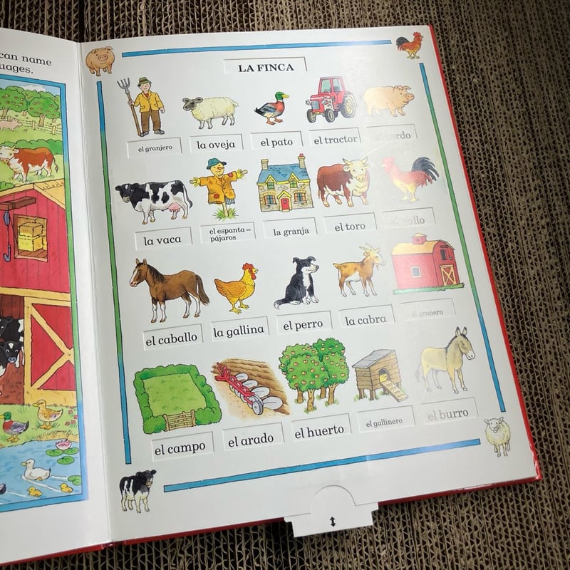 My First 100 Words in Spanish and English by Keith Faulkner