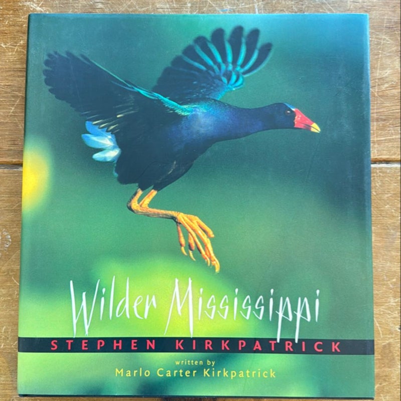 Wilder Mississippi
