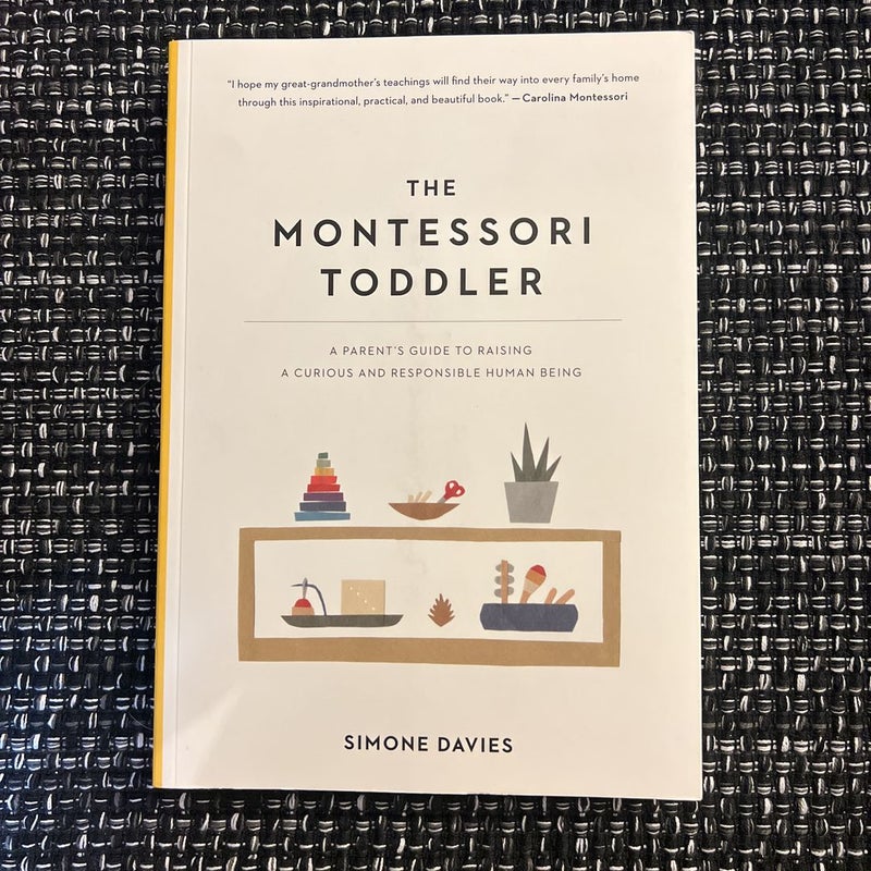 The Montessori Toddler