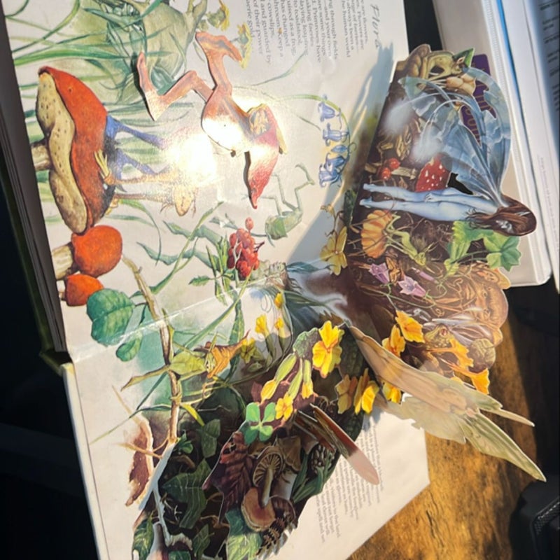 The Faeries Pop-up Book