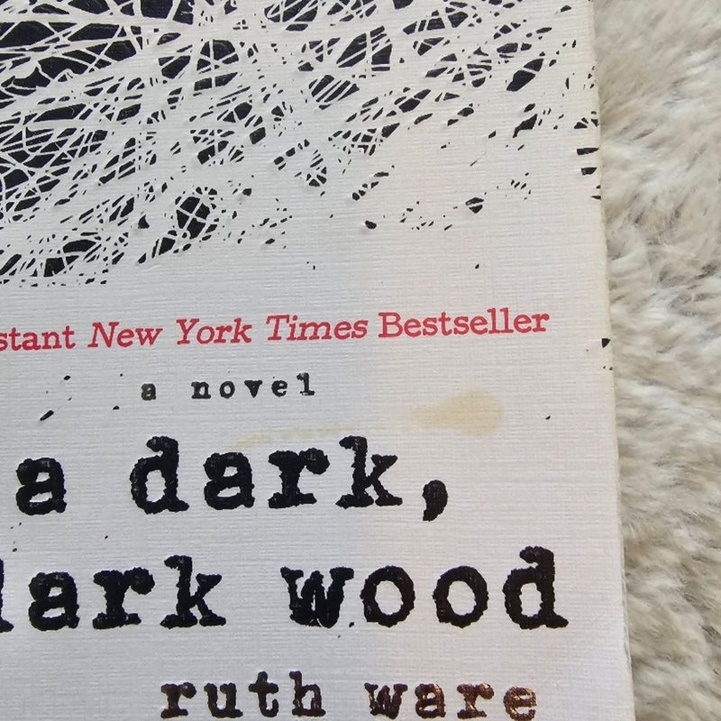 In a Dark, Dark Wood